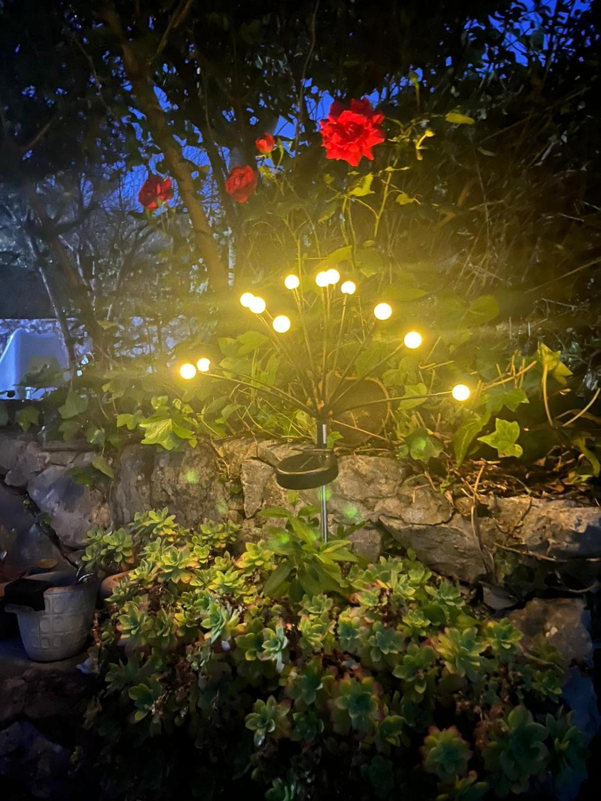 ベナオカス Casa Naniヴィラ エクステリア 写真
