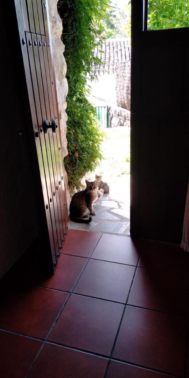 ベナオカス Casa Naniヴィラ エクステリア 写真